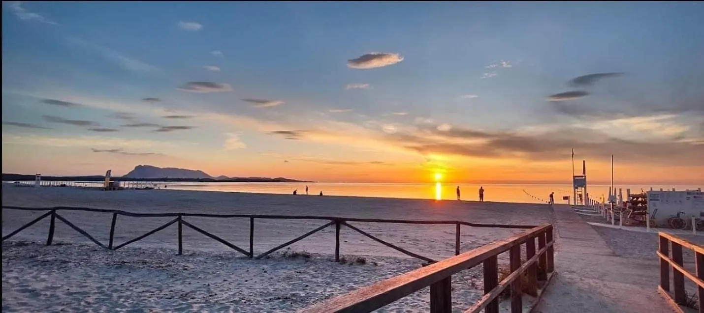 Casa vacanze Orsa Maggiore Home Monte Petrosu Italia